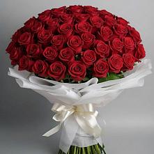 Букет 101 Красная роза Блэк Мэджик в Красном Сулине
