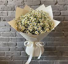 Букет цветов из:  Ромашки в Красном Сулине