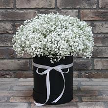 Цветочная композиция из Гипсофила в шляпной коробке в Красном Сулине