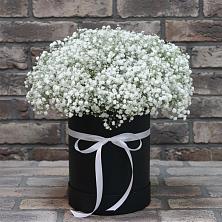 Цветочная композиция из Гипсофила в шляпной коробке в Красном Сулине