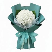Букет цветов из:  Гортензия #REPLACE_PRED# Красном Сулине